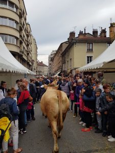 la descente des alpages