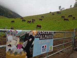 ferme des rapilles - vercors