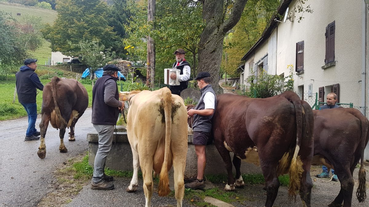 10ème edition de la descente des alpages Grenoble