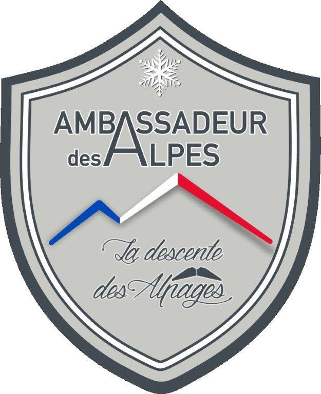 ambassadeurs 2020 gris